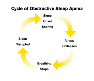 sleep apena cycle